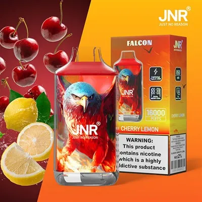 Jnr Falcon 16000 souf vape
